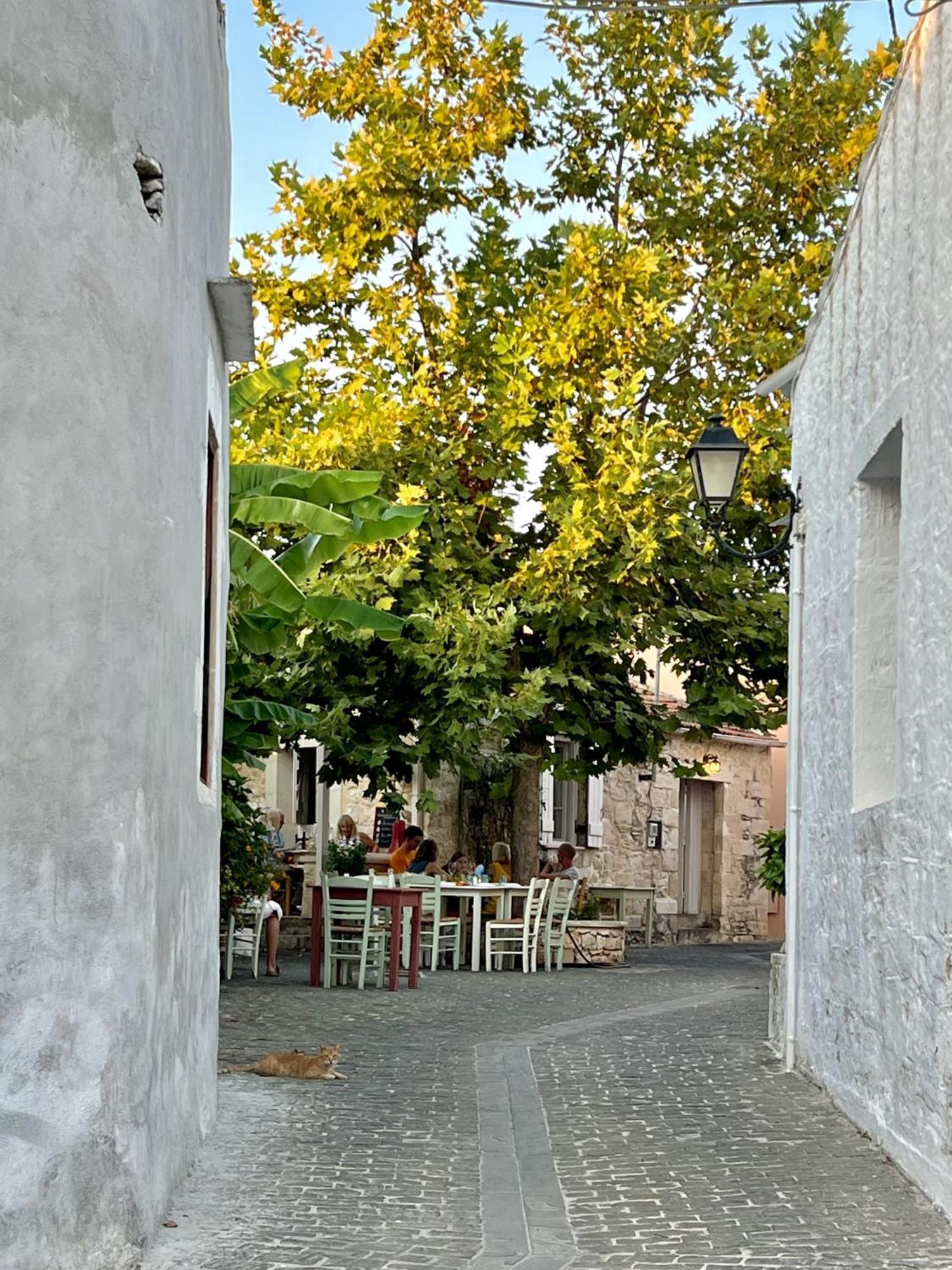 Villa Metapothia Gavalochori Crete Zewnętrze zdjęcie